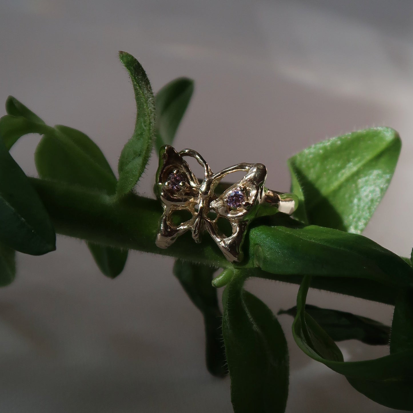 Butterfly Ring
