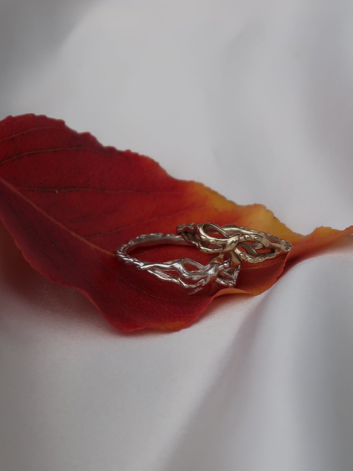 Bow My! Ring