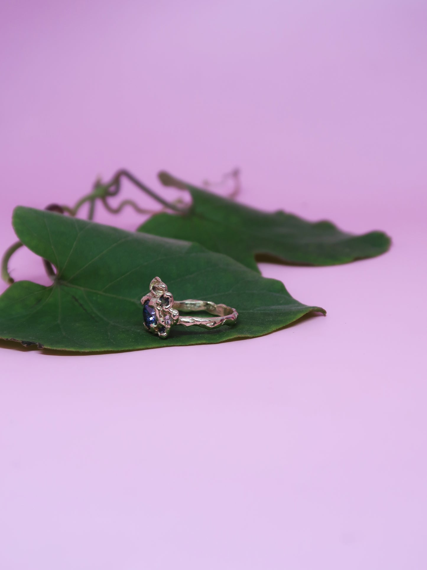 Bespoke Rose Garden Ring