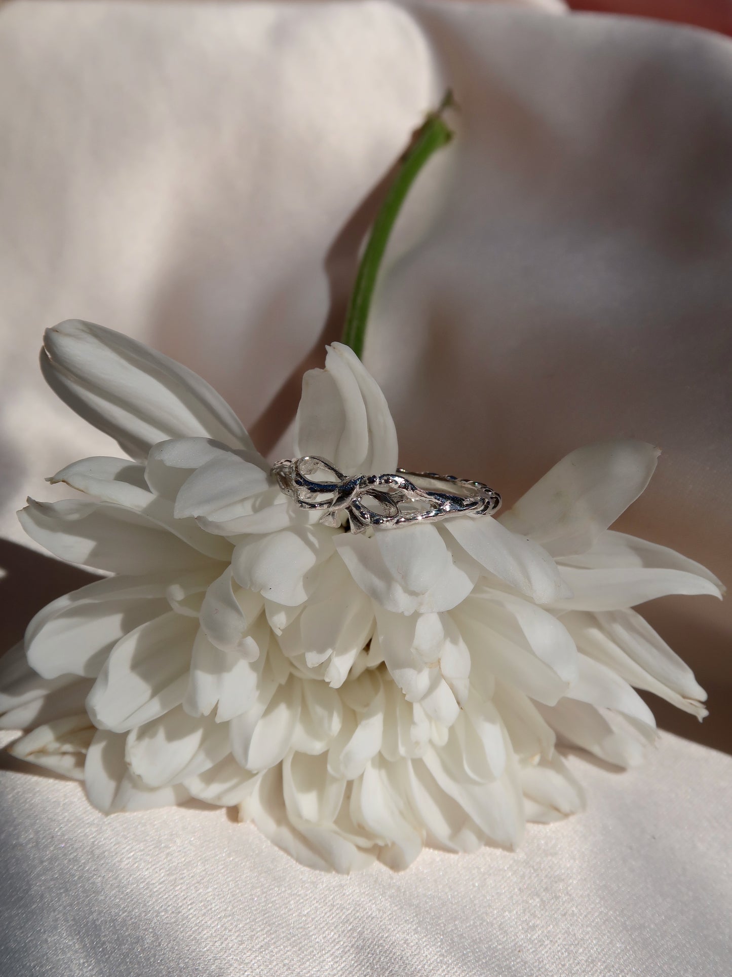 Bow My! Ring